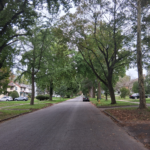 Tree-lined Inglewood Street in Rochester, New York, beneath a canopy of mature trees.