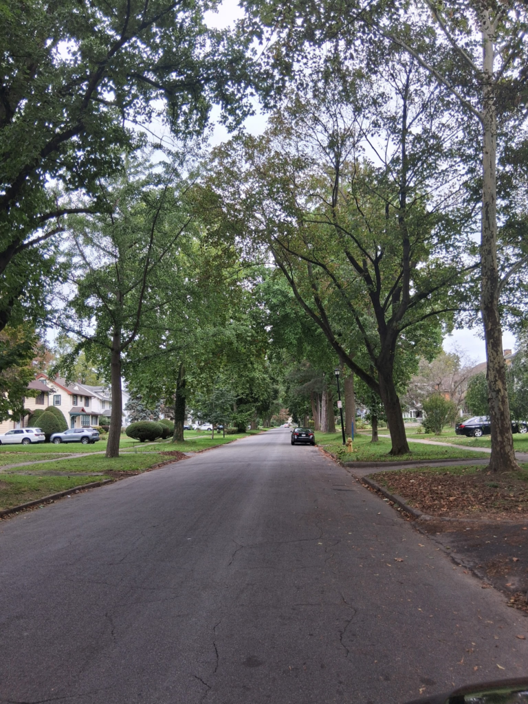 Tree-lined Inglewood Street in Rochester, New York, beneath a canopy of mature trees.